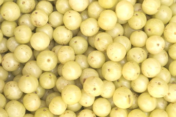 Fresh Gooseberry