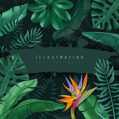 Tropical leaves illustration - obrazy, fototapety, plakaty