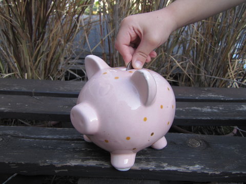 Money saving in piggy bank. A young boy slips a coin into a pink ceramic piggyback in his sunlit backyard.
