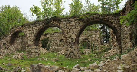 Fototapeta na wymiar Georgia. Old ruins in the forest.