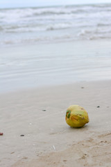 coconut lying on the beach, Sunset on the ocean in summer, Beautiful landscape. Sunset in the sea,Beach view In the evening, Coconut balls on the beach in the evening, Overcast sea,