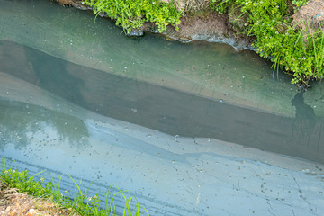 Closeup to a contaminated river with oil and dark water full of human waste.