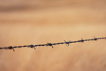 Barb wire in front of the farm field