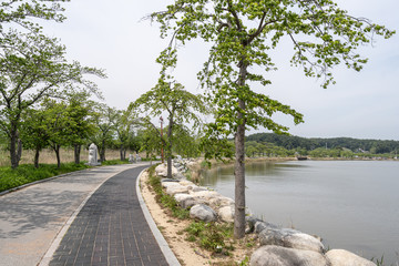 Fototapeta na wymiar Gyeongpoho lake trails