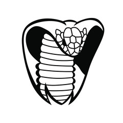 Snake head logo vector mascot design