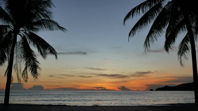 moving silhouette leaves branch coconut tree, sea water wave hit sand shore beach, mountain long distance, beautiful cloudy evening golden twilight sky background after sunset time, nobody