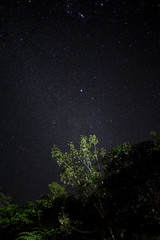 stars in the night sky