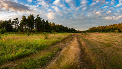 Fototapeta na wymiar Summer landscape with road through the meadow
