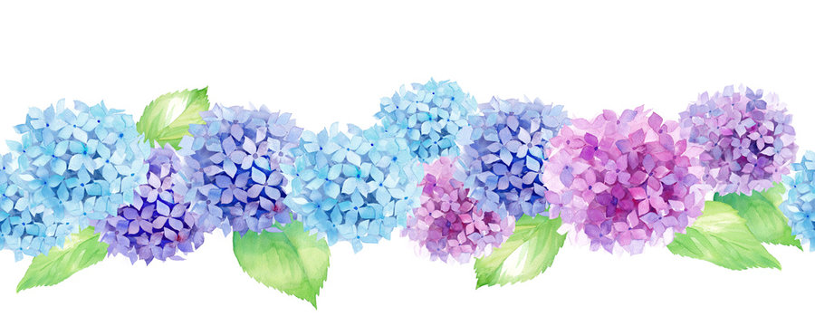 並ぶカラフルなあじさいのシームレスボーダーライン 水彩イラスト 連続模様 Stock イラスト Adobe Stock