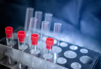 Rows of laboratory test tubes  use for experiment scientist. For the science room.