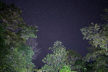 coral reef in the night