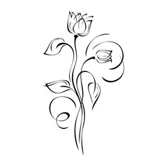 ornament 1143. stylized flower buds on tall stems with leaves and curls in black lines on a white background