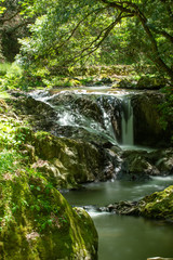 Fototapeta na wymiar 初夏の渓流と滝