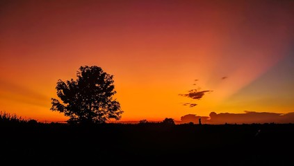 Fototapeta na wymiar sunset on the field
