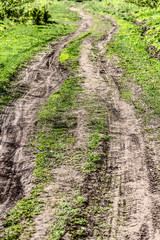 Fototapeta na wymiar Rural winding dirt track of a road closeup.