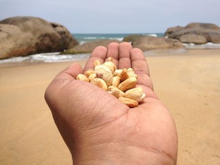 hand holding a cashew nuts on the beach