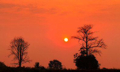 Dramatic sunrise with silhouette trees landscape view