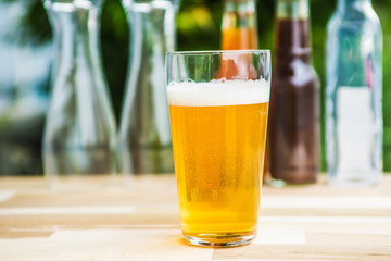 ビール　で　ガーデニング