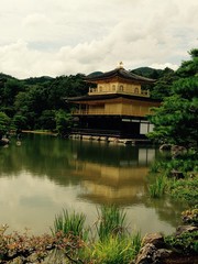 Fototapeta premium pavilion in the park