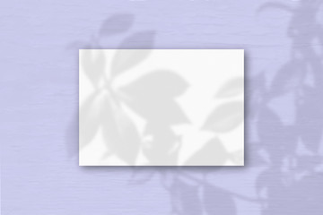 A horizontal A4 sheet of white textured paper on the lilac wall background. Mockup overlay with the plant shadows. Natural light casts shadows from an exotic plant. Horizontal orientation