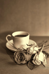 Orange yellow rose with a cup coffee  in sepia color