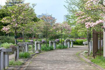 木場公園都市緑化植物園（東京都江東区）