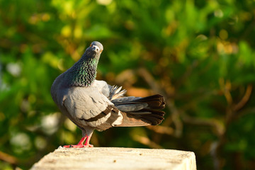 What you looking at.