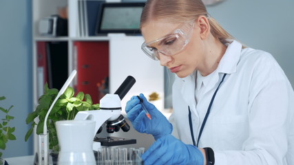 Medical research scientist in safety glasses taking sample from test-tube with pipette and examining it under the microscope in bright lab