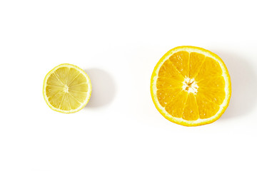 cut lemon and orange on a white background top view