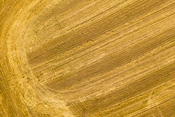 top view of a harvested wheat field. agricultural background