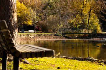 Autumn landscape