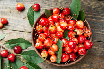sweet cherry harvest