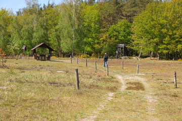 Hiking in Doeberitz Heath (Döberitzer Heide) former military training area, federal state...