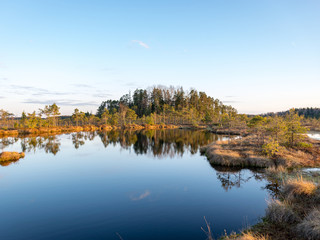 Colorful evening and sunset over the bog lake, crystal clear lake and bog in the evening, reflections on the water. Pine in the background.