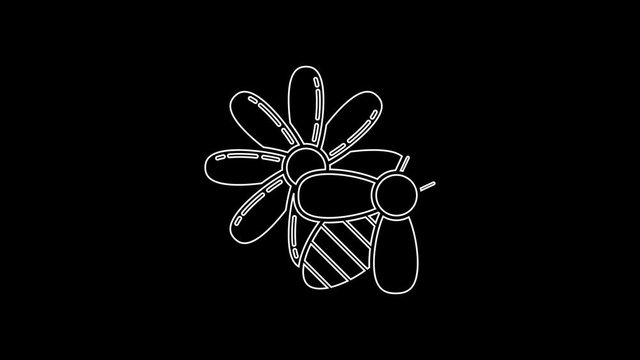 White line Bee and flower icon isolated on black background. Sweet natural food. Honeybee or apis with wings symbol. Flying insect. 4K Video motion graphic animation