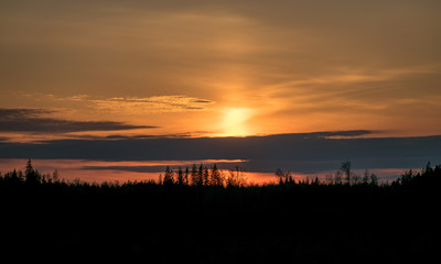 Obraz premium black tree silhouettes on a colorful sunset sky