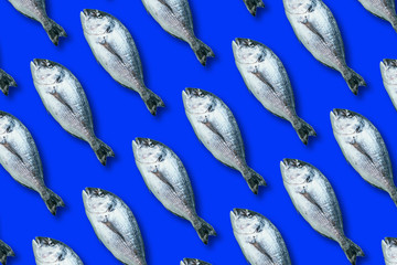 Fish pattern on blue background. Top view. Creative design for packaging. Food seamless pattern. Seafood, dorado fish concept