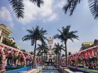 Obraz premium palm tree in the park