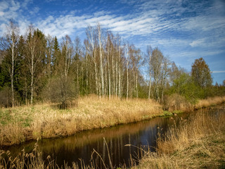 Obraz premium landscape with a small wild river bank, the first spring greenery, last year's reeds, tree reflections in the water
