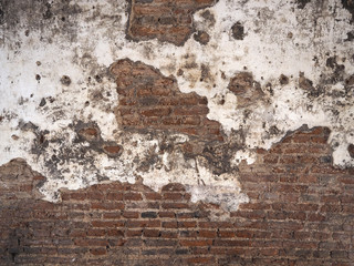Old brick wall for background.