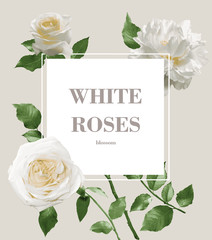 invitation card with white roses