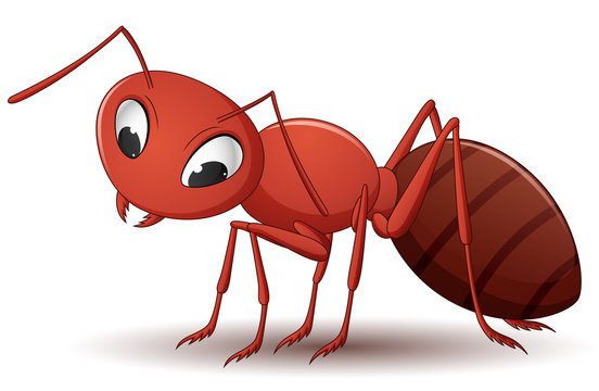 Illustration of Insect ant. Vector illustration