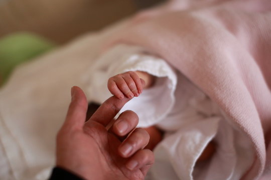 1 195 最適な 生まれたての赤ちゃん 画像 ストック写真 ベクター Adobe Stock