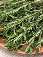 ハーブ　ローズマリー