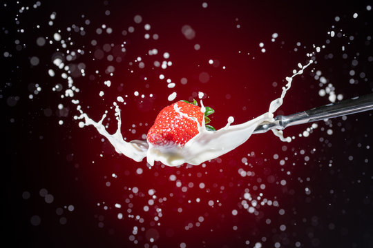 A tasty ripe red Strawberry fall into milk in front of a gradient red backdrop on a tablespoon and are splashed - Strawberry Splash
