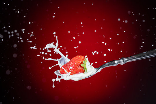 A tasty ripe red Strawberry fall into milk in front of a gradient red backdrop on a tablespoon and are splashed - Strawberry Splash