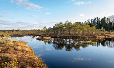 Nice landscape with evening and sunset over the bog lake, crystal clear lake and peat island in the...