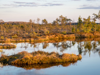 Nice landscape with evening and sunset over the bog lake, crystal clear lake and peat island in the...