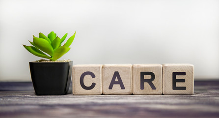 Care - conceptual text on wooden cubes on a bright background and a black pot with a flower behind