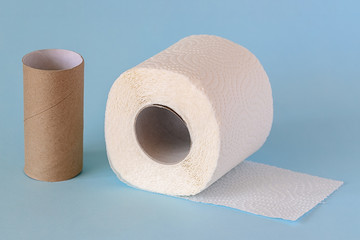 one roll of white clean toilet paper and an empty brown sleeve from used toilet paper on a blue background